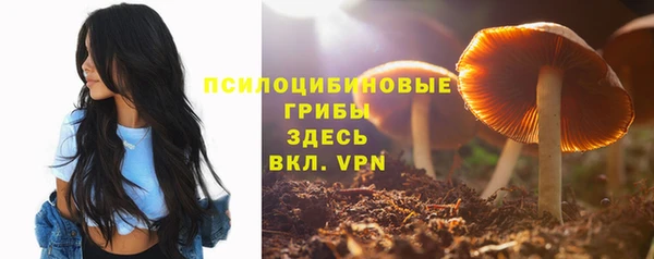 прущая мука Магадан