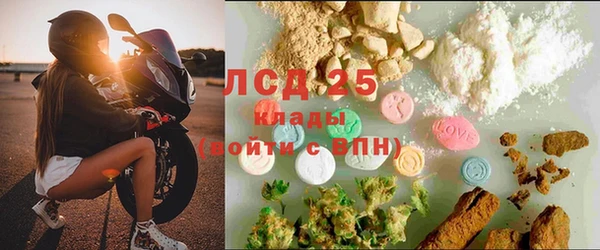 ГАЛЛЮЦИНОГЕННЫЕ ГРИБЫ Майский