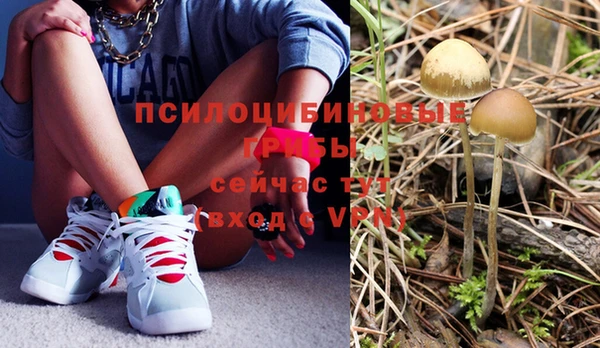 ешки Магас