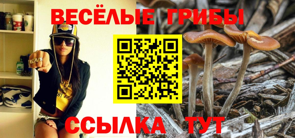 Феодосия  Галлюциногенные грибы MAGIC MUSHROOMS  Вход с VPN  даркнет сайт  Псилоцибиновые грибы мицелий 